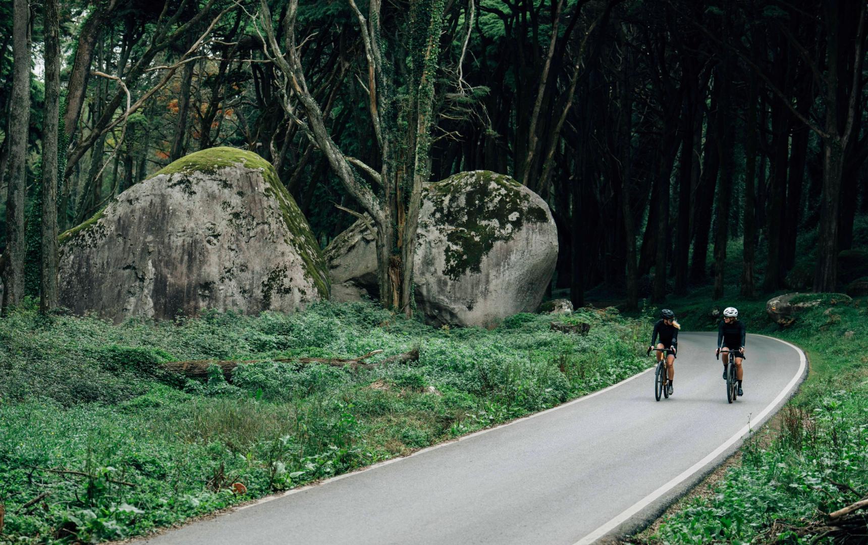 Rowery triathlonowe – jaki rower do triathlonu na początek przygody Rowery triathlonowe – jaki rower do triathlonu na początek przygody