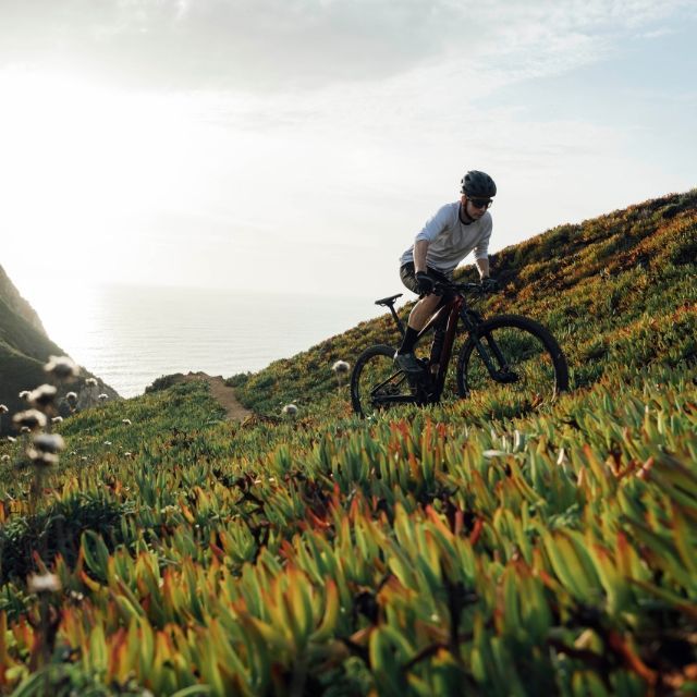 Downhill – kolarstwo zjazdowe – gdy grawitacja Ci niestraszna