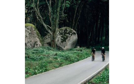 Rowery triathlonowe – jaki rower do triathlonu na początek przygody