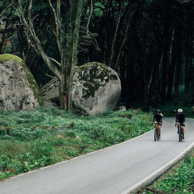 Rowery triathlonowe – jaki rower do triathlonu na początek przygody