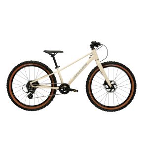 LIFTIE 24 X