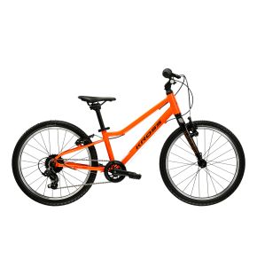 LIFTIE 20