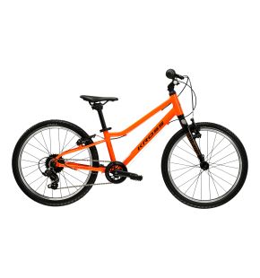 LIFTIE 20