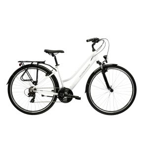 TRANS 1.0