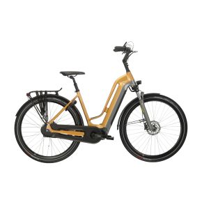 MULTICYCLE VOYAGE EMI 500