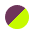 fioletowy limonkowy